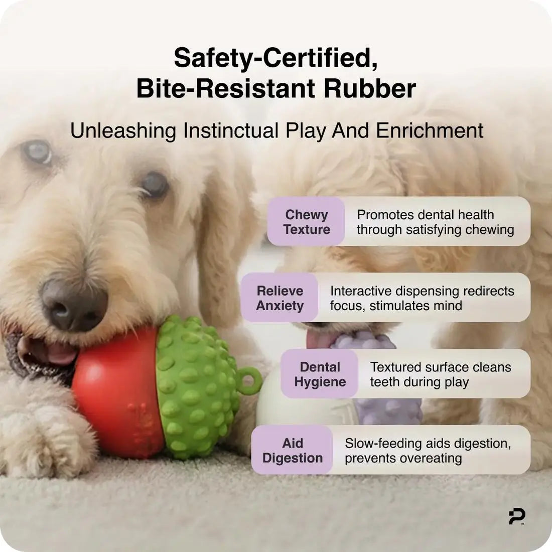 Dog Chew Toy | Slow Feeder to Reduce Bloating & Clean Teeth | Safe, Durable & Dishwasher Safe
