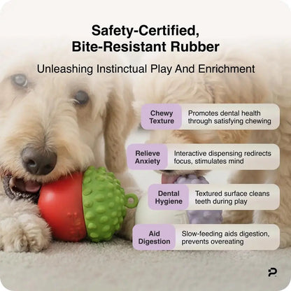 Dog Chew Toy | Slow Feeder to Reduce Bloating & Clean Teeth | Safe, Durable & Dishwasher Safe