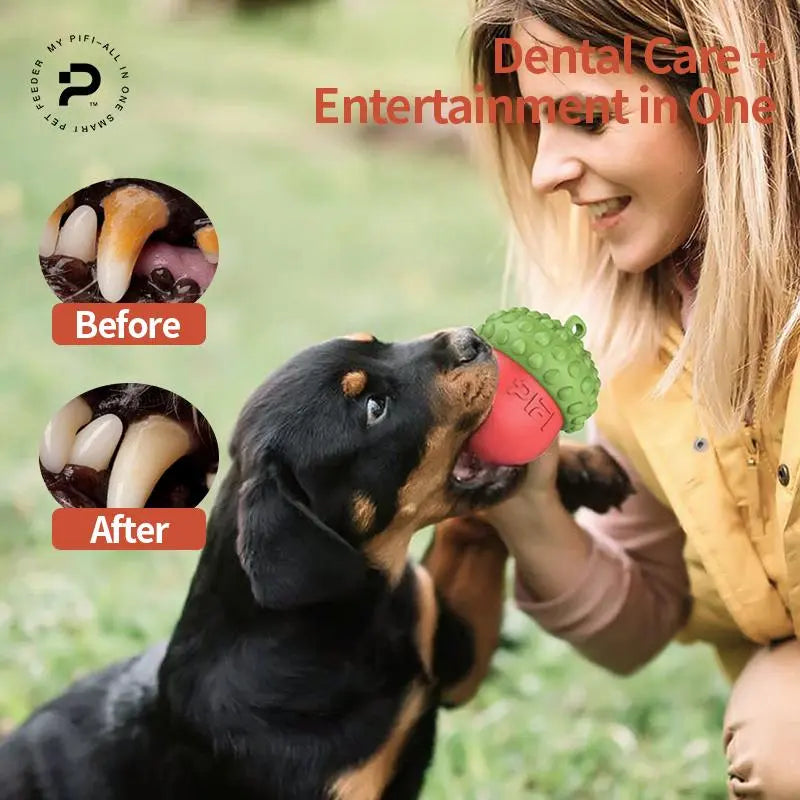 Dog Chew Toy | Slow Feeder to Reduce Bloating & Clean Teeth | Safe, Durable & Dishwasher Safe