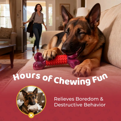 Apasiri Tough Dog Toys for Aggressive Chewers Beef Flavor: 8" Dog Chew Bone for Large Breed, Nylon & Rubber Chew Toy for Medium Large Dogs Outdoorfun